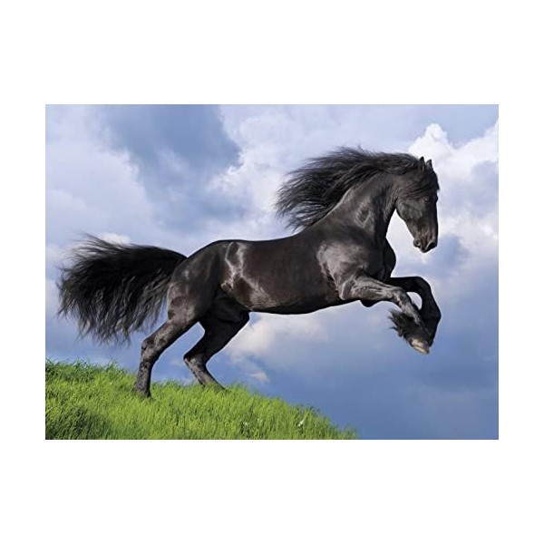 Clementoni Fresian Black Horse, 35071, Multicolore