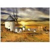 Educa - Puzzle de 1500 pièces pour Adultes | Moulins à Vent, Consuegra. Mesure : 85 x 60 cm. Comprend Fix Puzzle Tail pour l