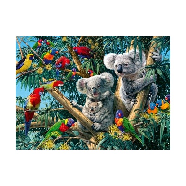 Ravensburger 12000206 Koalas dans larbre, 500 pièces, pour Adultes et Enfants à partir de 10 Ans, Puzzle avec Motif Animal