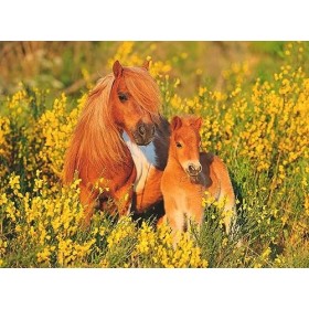 Ravensburger - Puzzle Enfant - Puzzle 100 p XXL - Poneys Shetland - Dès 6 ans - 13283