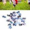 Entatial Jigsaw Puzzle Toy, Bright Color 1000pcs Memory Jigsaw Puzzle Haute précision pour la Maison