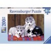 Ravensburger - Puzzle Enfant - Puzzle 200 p XXL - Mignons Huskies - Dès 8 ans - 12823