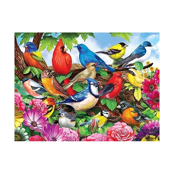 Cra-Z-Art - RoseArt – Puzzle Collector – Friendly Birds – Puzzle 300 pièces XL