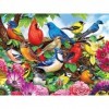 Cra-Z-Art - RoseArt – Puzzle Collector – Friendly Birds – Puzzle 300 pièces XL