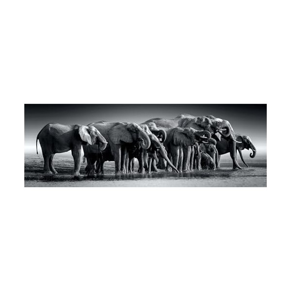 Clementoni Collection Panorama – Herd of Giants – 1000 pièces, Puzzle panoramique, Horizontal, Divertissement pour Adultes, f