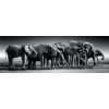 Clementoni Collection Panorama – Herd of Giants – 1000 pièces, Puzzle panoramique, Horizontal, Divertissement pour Adultes, f