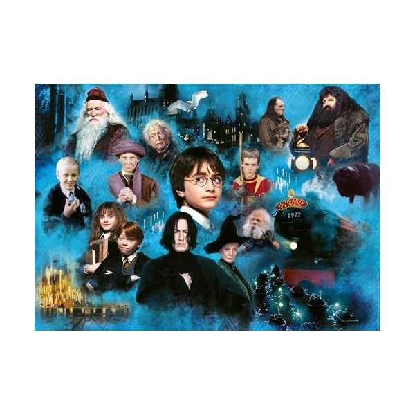 Ravensburger 12000589-Monde Magique Potter-1000 pièces-Puzzle Harry Potter pour Adultes et Enfants à partir de 14 Ans, 120005