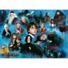 Ravensburger 12000589-Monde Magique Potter-1000 pièces-Puzzle Harry Potter pour Adultes et Enfants à partir de 14 Ans, 120005