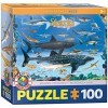 Eurographics Puzzle Sharks MO 100 pièces 