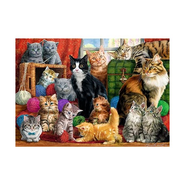 Trefl 1000 Pièces Maison Rencontre Jeux DIY Divertissement Créatif Cadeau Amusement Puzzles Classiques pour Adultes et Enfant