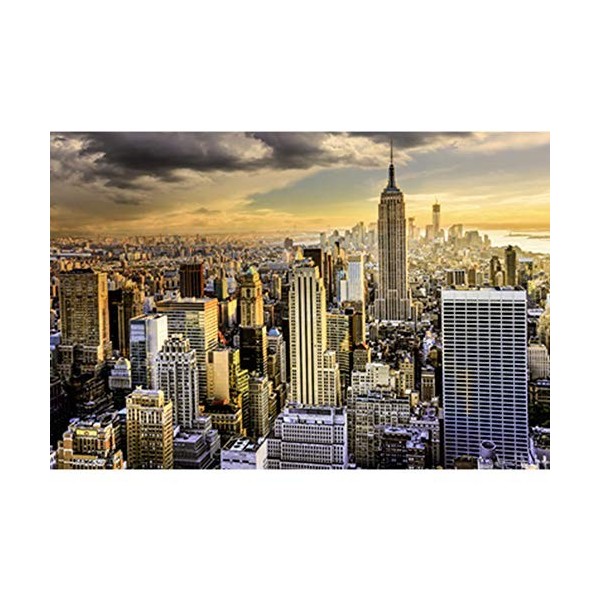 RZJMYUE New-York Panorama Puzzle 1000 Pièces en Bois Adulte Puzzle IQ Défi Jigsaw Puzzle Classique Accueil Décoration