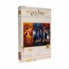 Harry Potter Puzzle Harry, Ron And Hermione Names Official Merchandising Jouet, SDTWRN23239