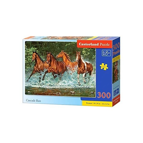 Castorland - B-030361 - Puzzle Premium Cascade Run - 300 pièces - Multicolore