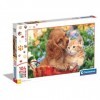 Clementoni- Supercolor Cute Friends – 104 Maxi pièces Enfants 4 Ans, Puzzle Animaux, Chien, Chat, fabriqué en Italie, 25763, 