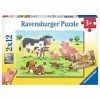 Ravensburger - 07590 4 - Puzzle - Heureuses Familles DAnimaux - 2 x 12 Pièces