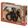 Dino Toys 472266 300XL Puzzle coloré chevaux 300 pièces