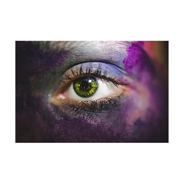 70 Pièces Puzzles pour Adultes Puzzles Difficiles Puzzles Beaux Yeux Puzzle Bricolage Divertissement Jouets Cadeau pour La Dé