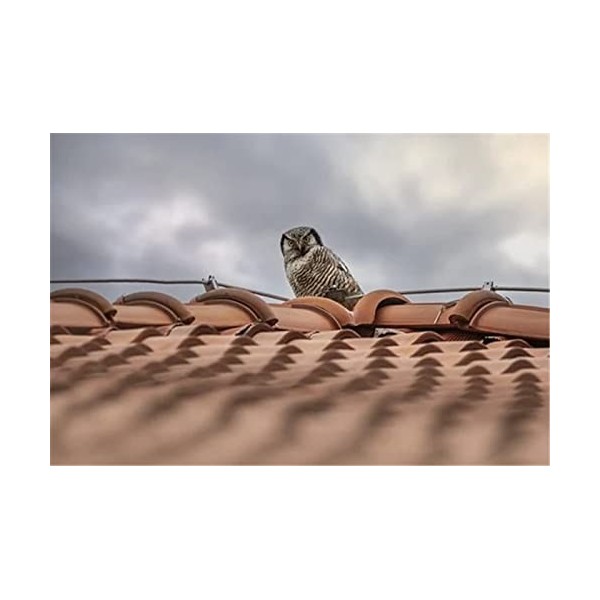 70 Pièces Puzzles pour Adolescents et Adultes Panda Puzzle en Bois Puzzle, Meilleur Cadeau pour Adultes et Enfants-20x15cm 7.