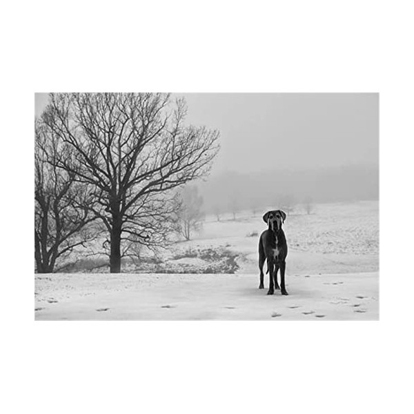 70 Pièces Puzzles pour Adolescents et Adultes Panda Puzzle en Bois Puzzle, Meilleur Cadeau pour Adultes et Enfants-20x15cm 7.