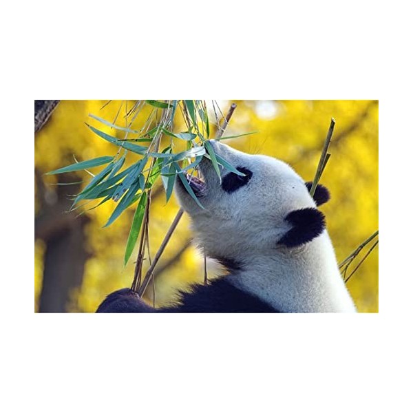 70 Pièces Puzzles pour Adolescents et Adultes Panda Puzzle en Bois Puzzle, Meilleur Cadeau pour Adultes et Enfants-20x15cm 7.
