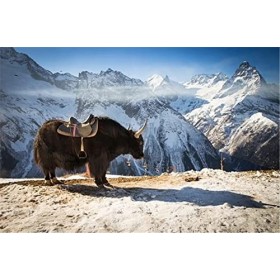 70 Pièces Puzzles pour Adultes, Belles Fleurs Puzzles Colorés pour Enfants et Adolescents à partir de 12 Ans, Art de Puzzle D