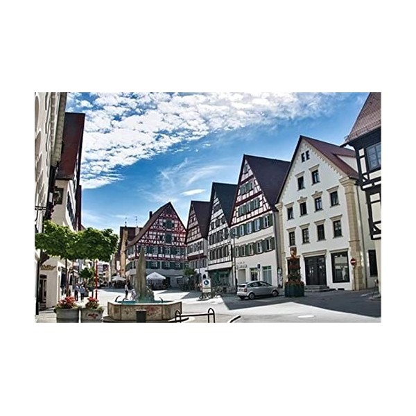 70 Pièces Puzzles pour Adultes Puzzles Difficiles Puzzles Difficiles Rue en Inde Puzzle Bricolage Jouets de Divertissement Ca