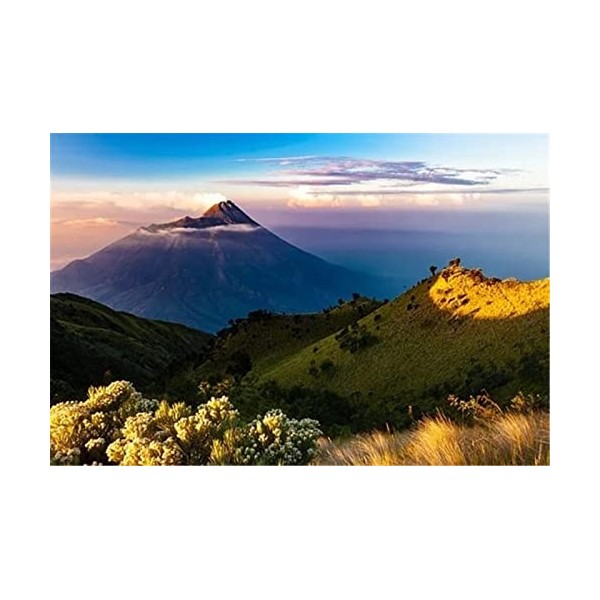 70 Pièces Puzzles pour Adultes Puzzles Difficiles Puzzles Lac et Forêt Puzzle Bricolage Jouets de Divertissement Cadeau pour 