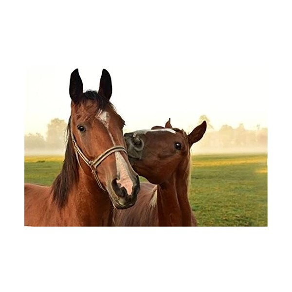 70 Pièces Puzzle Éducatif Puzzle Famille Jeu Cheval Cadeau pour Adultes et Enfants-20x15cm 7.87x5.90inch 