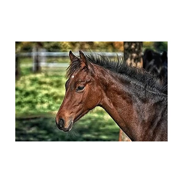 70 Pièces Puzzle Éducatif Puzzle Famille Jeu Cheval Cadeau pour Adultes et Enfants-20x15cm 7.87x5.90inch 