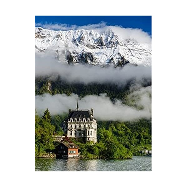 Puzzle 70 pièces - Puzzles pour Adultes - Puzzles pour Enfants Puzzles en Bois Jeux de Puzzle Nageur 70 pièces pour Adultes e