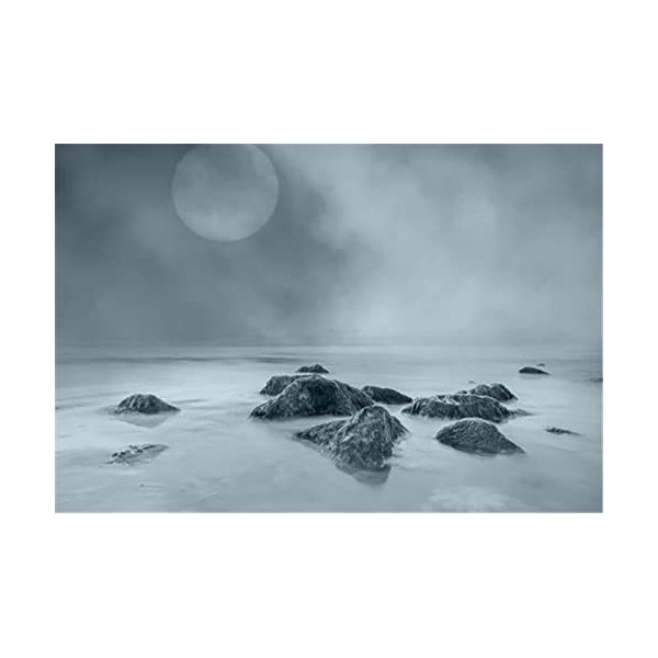 Puzzles 70 pièces-Puzzles 70 pièces pour Adultes - Pierres de la mer - Puzzles -Jeu de décompression éducatif Familial.-20x15