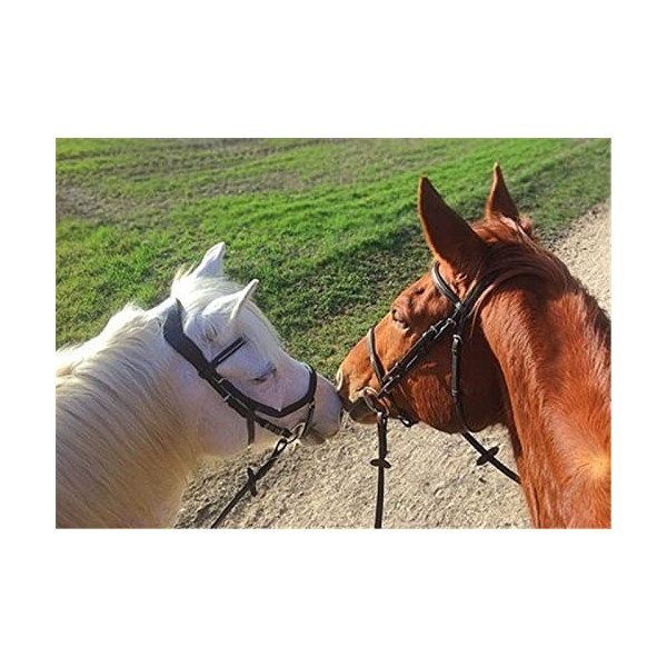 Puzzles pour Adultes Puzzle en Bois de 70 Pièces - Cadeau de Puzzle de Trois Chevaux-20x15cm 7.87x5.90inch 