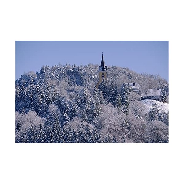 Puzzle 70 pièces - Puzzles pour Adultes - Puzzles pour Enfants Puzzles en Bois Jeux Norvège - Puzzles des îles Lofoten 70 piè