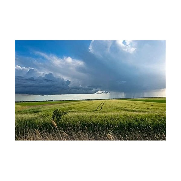 Puzzles pour Adultes Puzzle en Bois de 70 Pièces - Cadeau de Puzzle de Terres Agricoles-20x15cm 7.87x5.90inch 