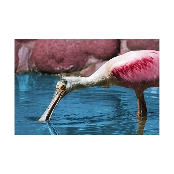 Puzzles pour Adultes Puzzle en Bois de 70 Pièces - Belle Vaisselle Puzzle Cadeau-20x15cm 7.87x5.90inch 