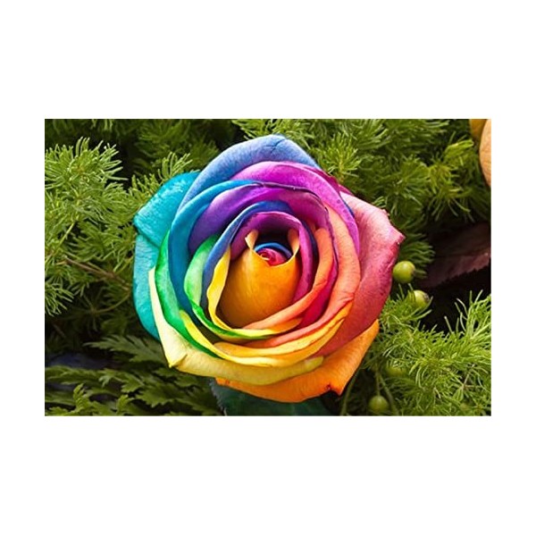 Puzzle 70 Pièces - Puzzles pour Adultes - Puzzles pour Enfants Puzzles en Bois Jeux Puzzles Renard 70 Pièces pour Adultes Enf