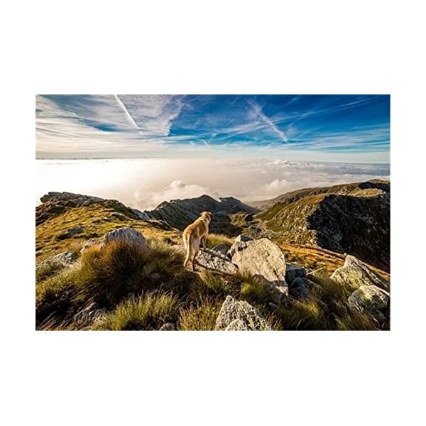 Puzzles en Bois 70 Pièces pour Adultes - Jolie Fille - Puzzle - Jeu AR - Décoration Murale - Cadeau pour Amoureux des Puzzles