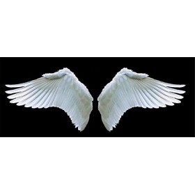 Puzzles en Bois 70 Pièces pour Adultes - Ailes dange - Puzzle - Jeu AR - Décoration Murale - Cadeau pour Amoureux des Puzzle