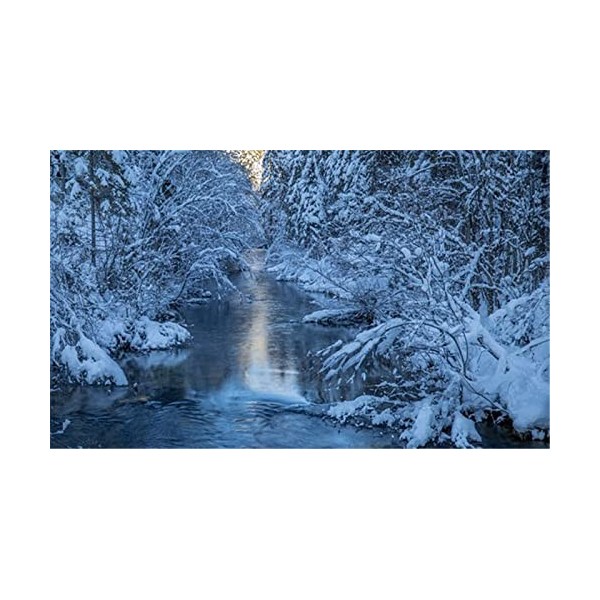 Puzzles en Bois 70 Pièces pour Adultes - Ailes dange - Puzzle - Jeu AR - Décoration Murale - Cadeau pour Amoureux des Puzzle