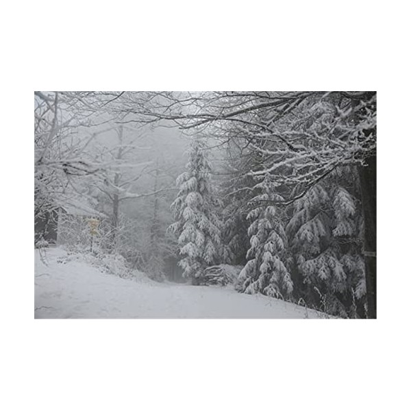 Puzzles en Bois 70 Pièces pour Adultes - Ailes dange - Puzzle - Jeu AR - Décoration Murale - Cadeau pour Amoureux des Puzzle