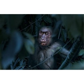 Puzzles pour Adultes Puzzle en Bois de 70 pièces - Fille dans leau Puzzle Gift-20x15cm 7.87x5.90inch 