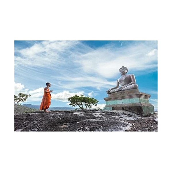 Puzzles pour Adultes Puzzle en Bois de 70 pièces - Fille dans leau Puzzle Gift-20x15cm 7.87x5.90inch 