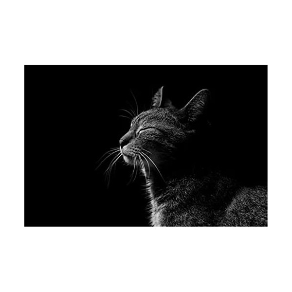 Puzzle 70 pièces Puzzle éducatif Jeu de Famille Château et Tonnerre Cadeau pour Adultes et Enfants-20x15cm 7.87x5.90inch 