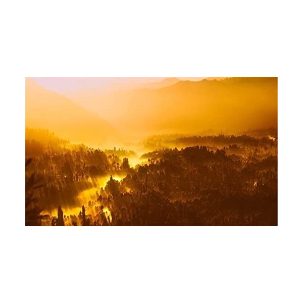 Puzzles en Bois de 70 pièces pour Adultes - Belle Architecture thaïlandaise Jigsaw Puzzle - Puzzle en Bois de qualité supérie