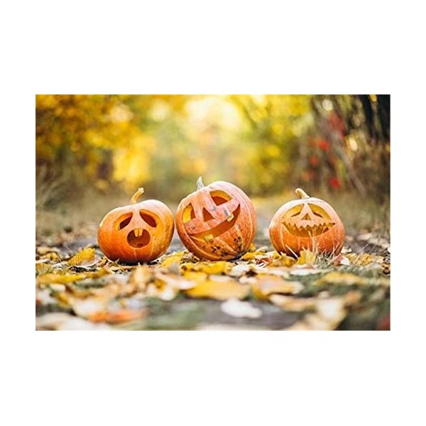 Yingxin34 Puzzle 70 pièces | Citrouille Mignonne | Puzzles Uniques pour Adultes, Enfants et Famille | Éducatif | Coloré | Pri