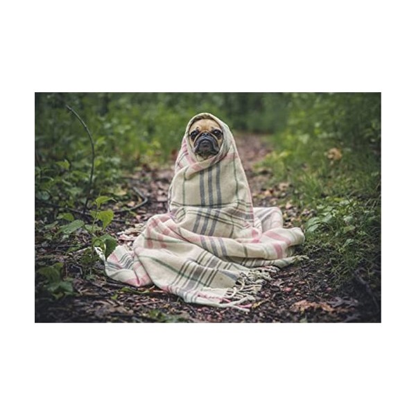 Yingxin34 Puzzle 70 pièces | Citrouille Mignonne | Puzzles Uniques pour Adultes, Enfants et Famille | Éducatif | Coloré | Pri