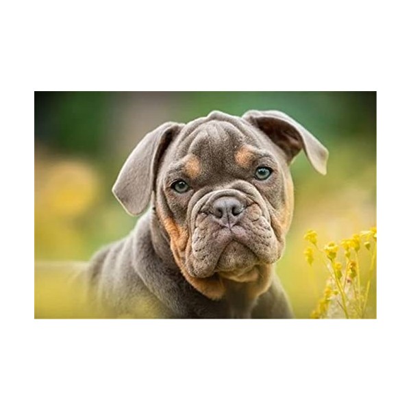 Puzzles en Bois pour Adultes 70 Pièces Village Bord de Mer - Puzzles Uniques pour la Détente - Cadeaux pour Les Amoureux des 