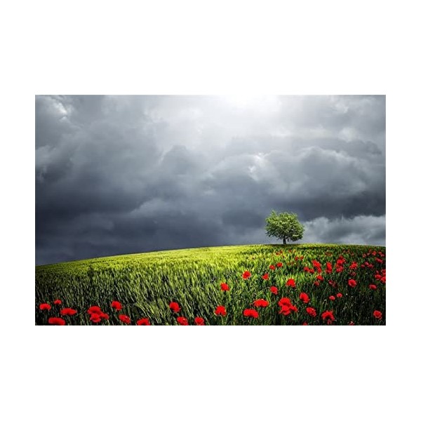 Puzzles en Bois de 70 pièces pour Adultes - Ferme et Champs de Fleurs Puzzle - Puzzle en Bois de qualité supérieure pour Adul