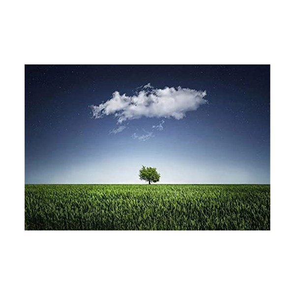 Puzzles en Bois de 70 pièces pour Adultes - Ferme et Champs de Fleurs Puzzle - Puzzle en Bois de qualité supérieure pour Adul