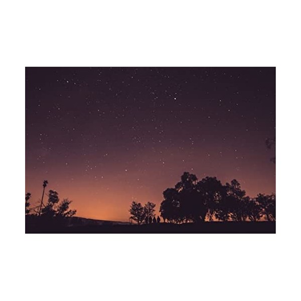 Puzzles en Bois de 70 pièces pour Adultes - Ferme et Champs de Fleurs Puzzle - Puzzle en Bois de qualité supérieure pour Adul